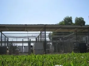 Freedom Yards